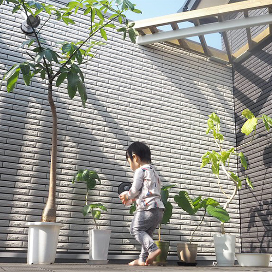 ルーフガーデンで植物とともに日光浴している男の子の写真